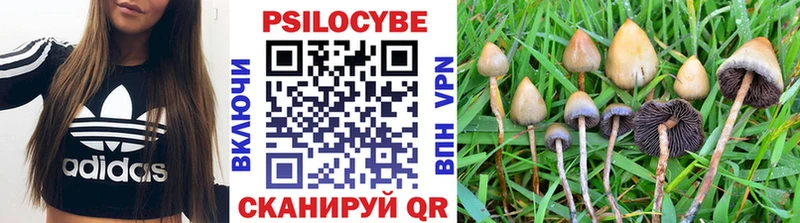 Купить  Семилуки  Галлюциногенные грибы MAGIC MUSHROOMS 
